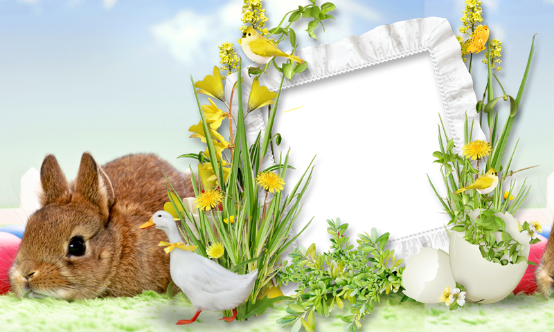 Easter Frames Png (800x480), Png Download