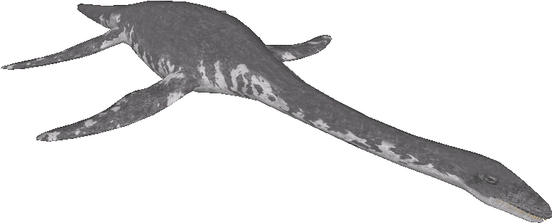 Loch Ness Monster - Marine Invertebrates (773x773), Png Download