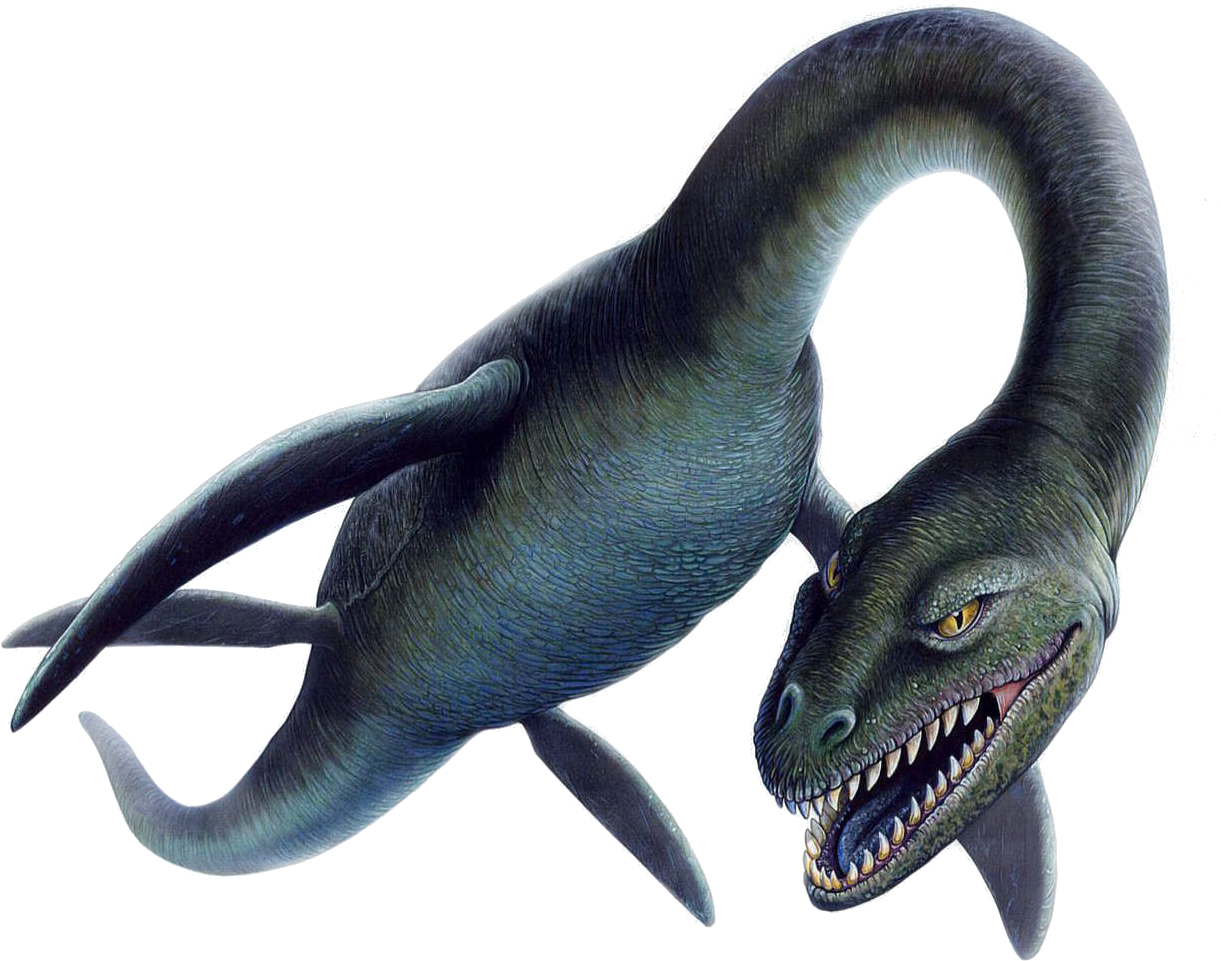 Spelling City - Loch Ness Monster Head (1279x1048), Png Download