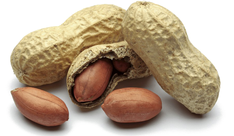 Peanut Png Free Download - Peanut (988x527), Png Download