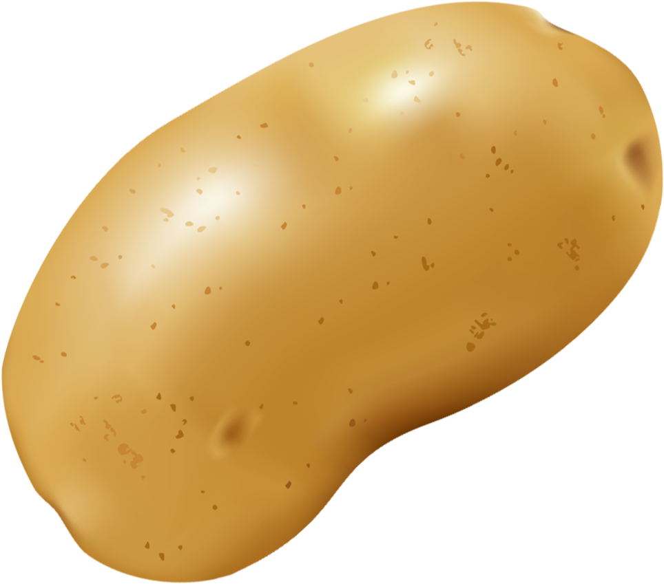 Фото, Автор Soloveika На Яндекс - Spaghetti Squash Clipart With No Background (1020x1024), Png Download