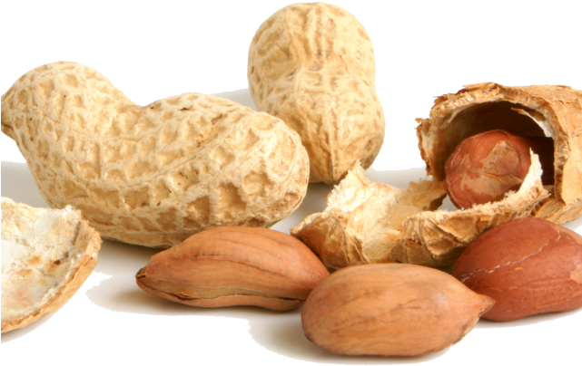 Nut Clipart Transparent Background - Transparent Background Peanut Clipart (640x480), Png Download
