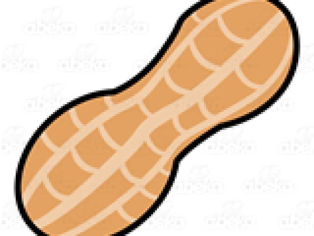 Peanut Huge Freebie Download For Powerpoint - Nut Clip Art (640x480), Png Download