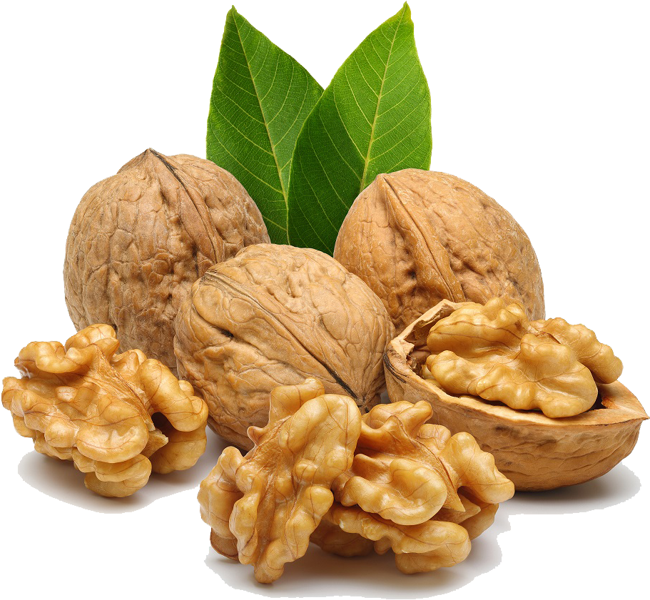 Png Free Images Toppng - Walnuts Png (850x762), Png Download
