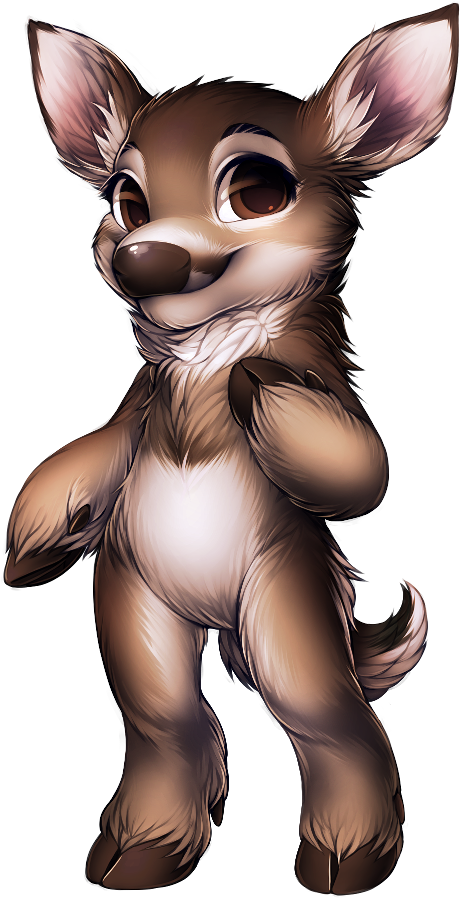 Deer White Tail No Antlers - White Tailed Deer Anthro (1200x1956), Png Download
