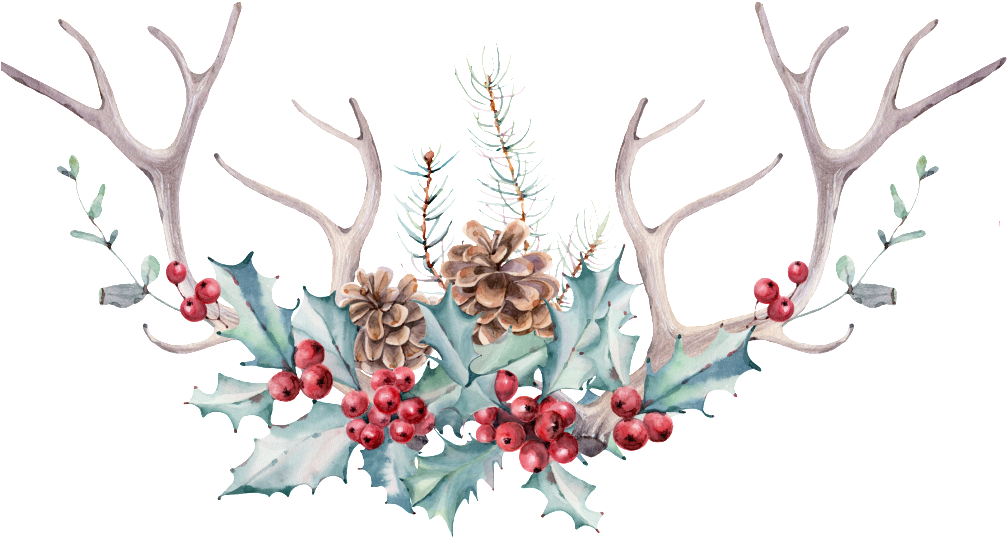Hand Painted Antlers And Flowers Hd High Definition - Christmas Images Clipart Watercolor (1024x1024), Png Download
