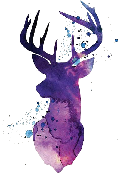 Watercolor Deer (564x705), Png Download