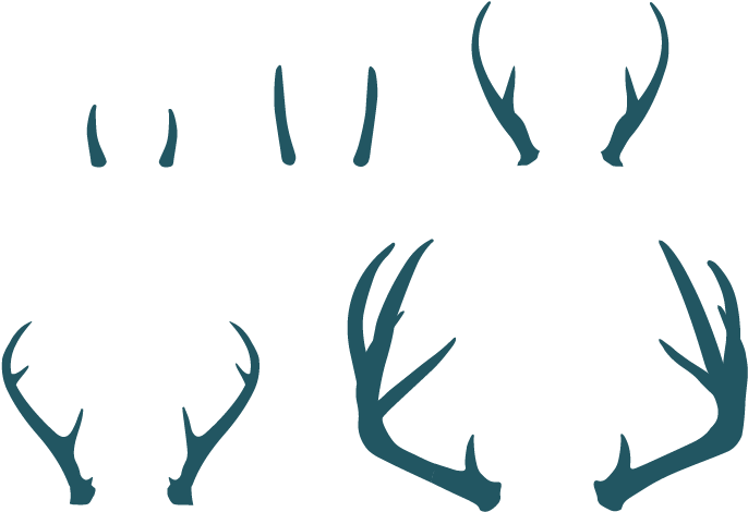 We're A Group Of Creatives, Strategists And Business - Antler (763x592), Png Download