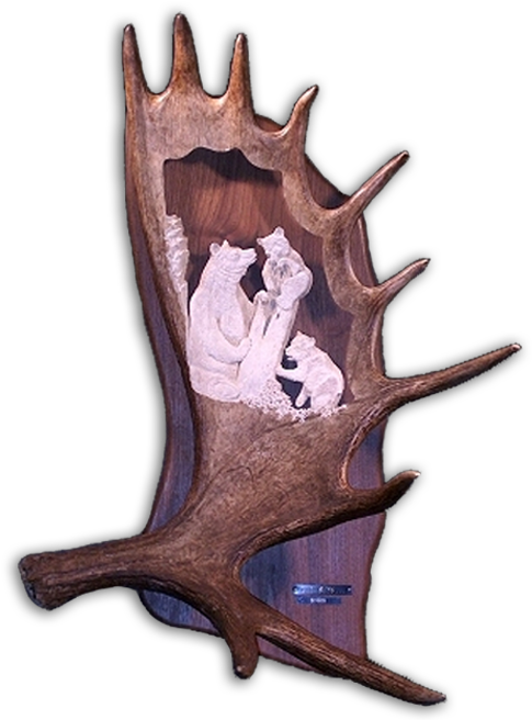 Experience The Drama And Beauty Of The Wilderness And - Carving (492x658), Png Download