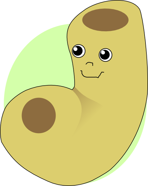 Small - Macaroni Clip Art (474x595), Png Download