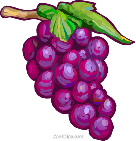 Red Grapes Royalty Free Vector Clip Art Illustration - Rote Trauben Clipart (465x480), Png Download