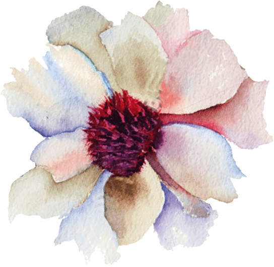 Monastrell - Magnolia (544x529), Png Download