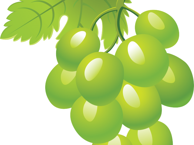 Grape Clipart Grapevine - Green Grapes Clipart Png (640x480), Png Download