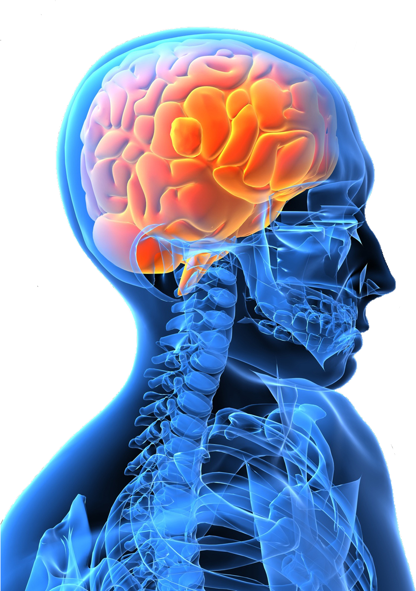 Stroke Treatment And Management Of Its Effects With (900x1200), Png Download