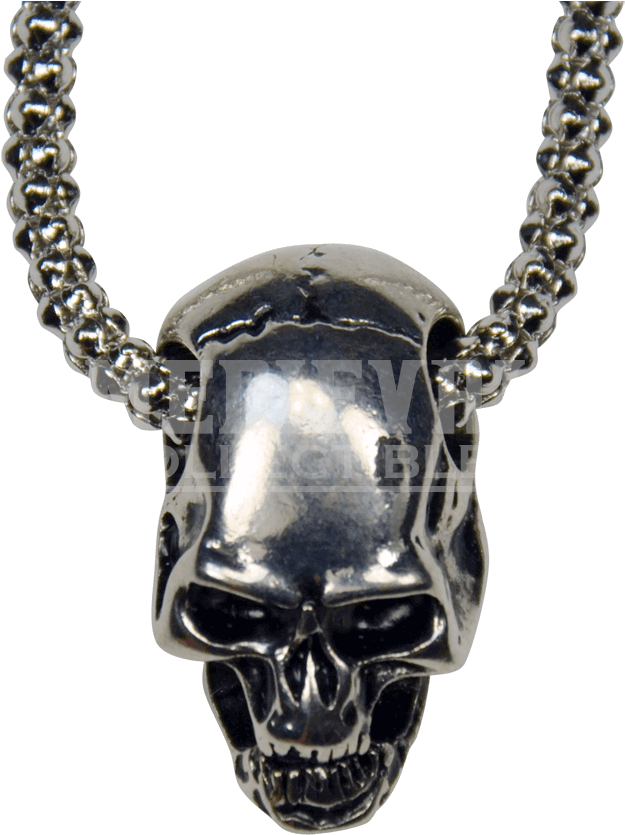 Silver Skull Studded Necklace - Skull Necklace Transparent (850x850), Png Download