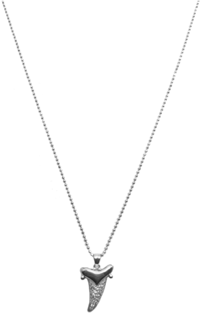 Bruce Pendant Silver - Necklace (384x480), Png Download