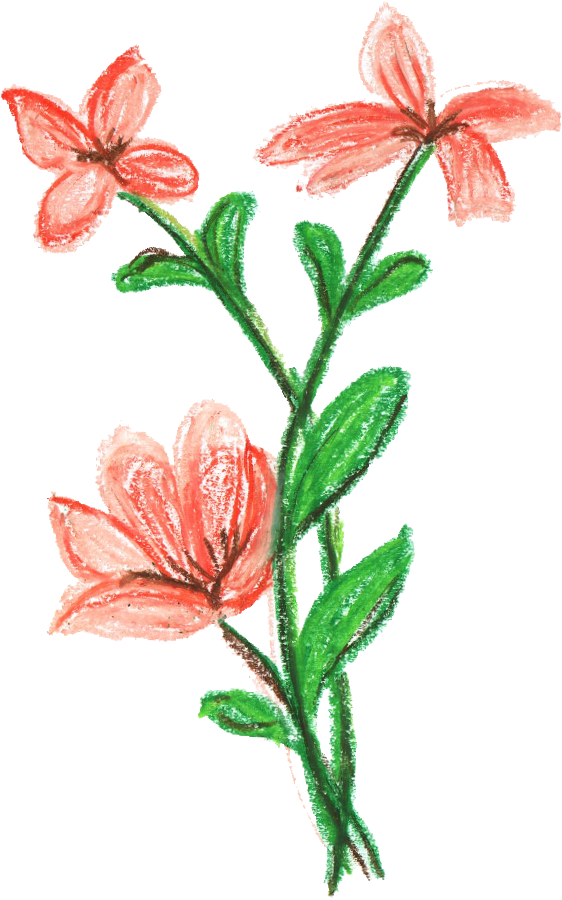 Flower Transparent (562x900), Png Download