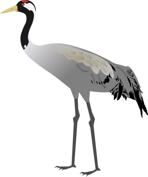 Png Free Stock Birds Svg Crane - Sandhill Crane Transparent Clipart (499x595), Png Download
