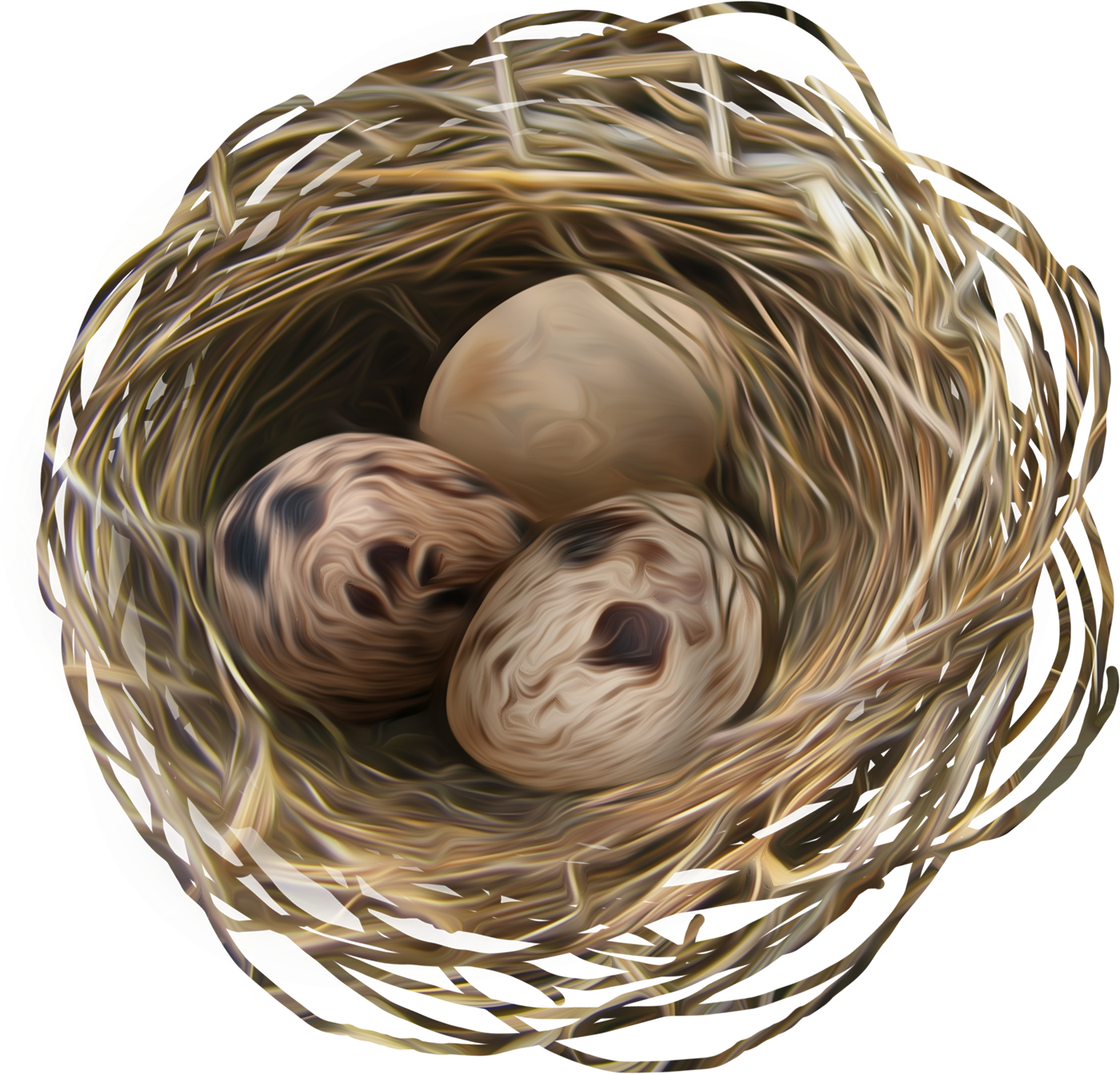 Nid Png (1400x1343), Png Download