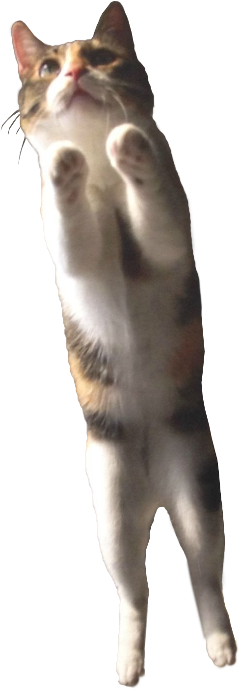 Cat In Mid Leap - Cat Psd (561x1483), Png Download