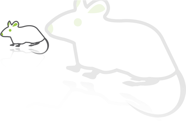 Animals (1000x500), Png Download