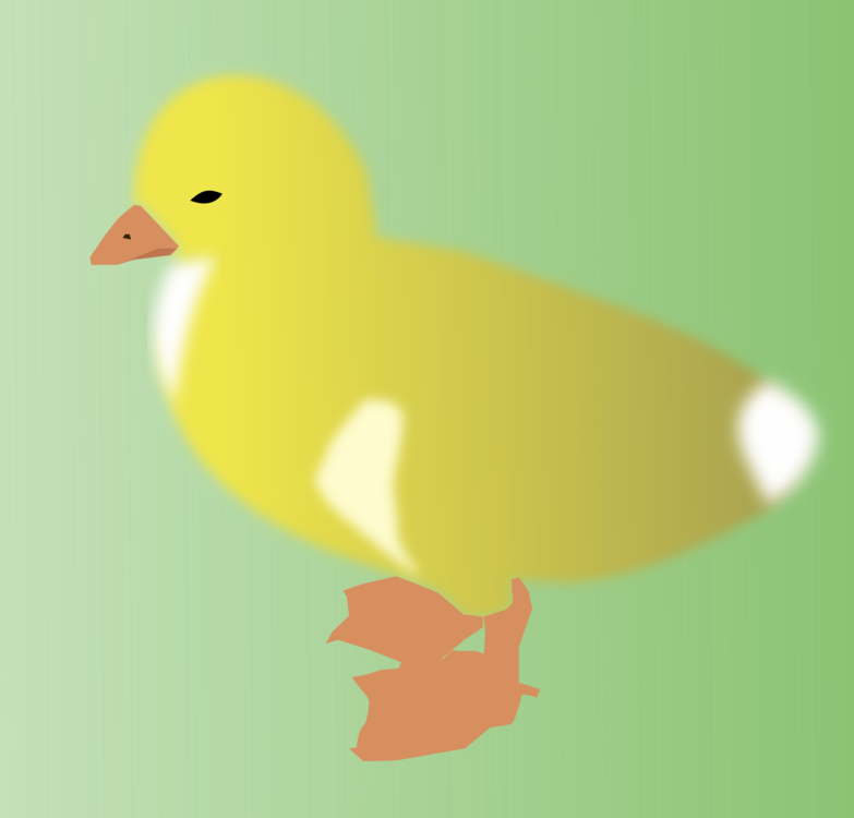 Duck Drawing Yellow Chicken Cartoon - Drawing (783x750), Png Download