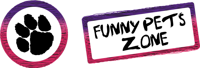 The Most Funny Videos From Youtube - Clemson Tigers Transfer Decal - Mom (700x238), Png Download