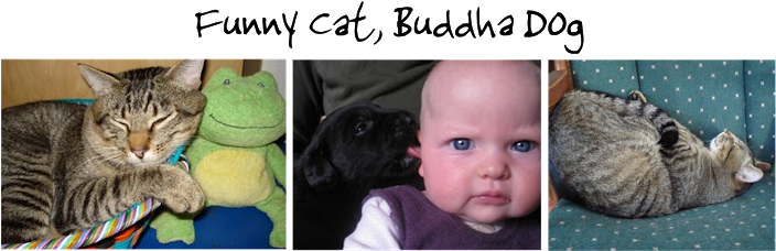 Mommy Feeds Baby [book] (718x248), Png Download