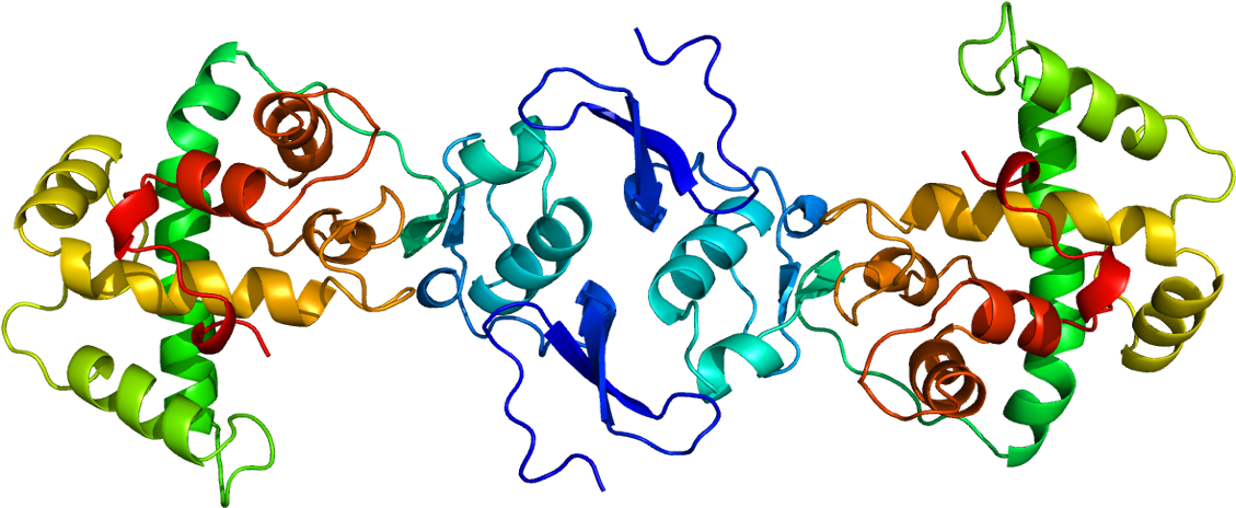 Protein Sparc Pdb 1bmo (1178x513), Png Download