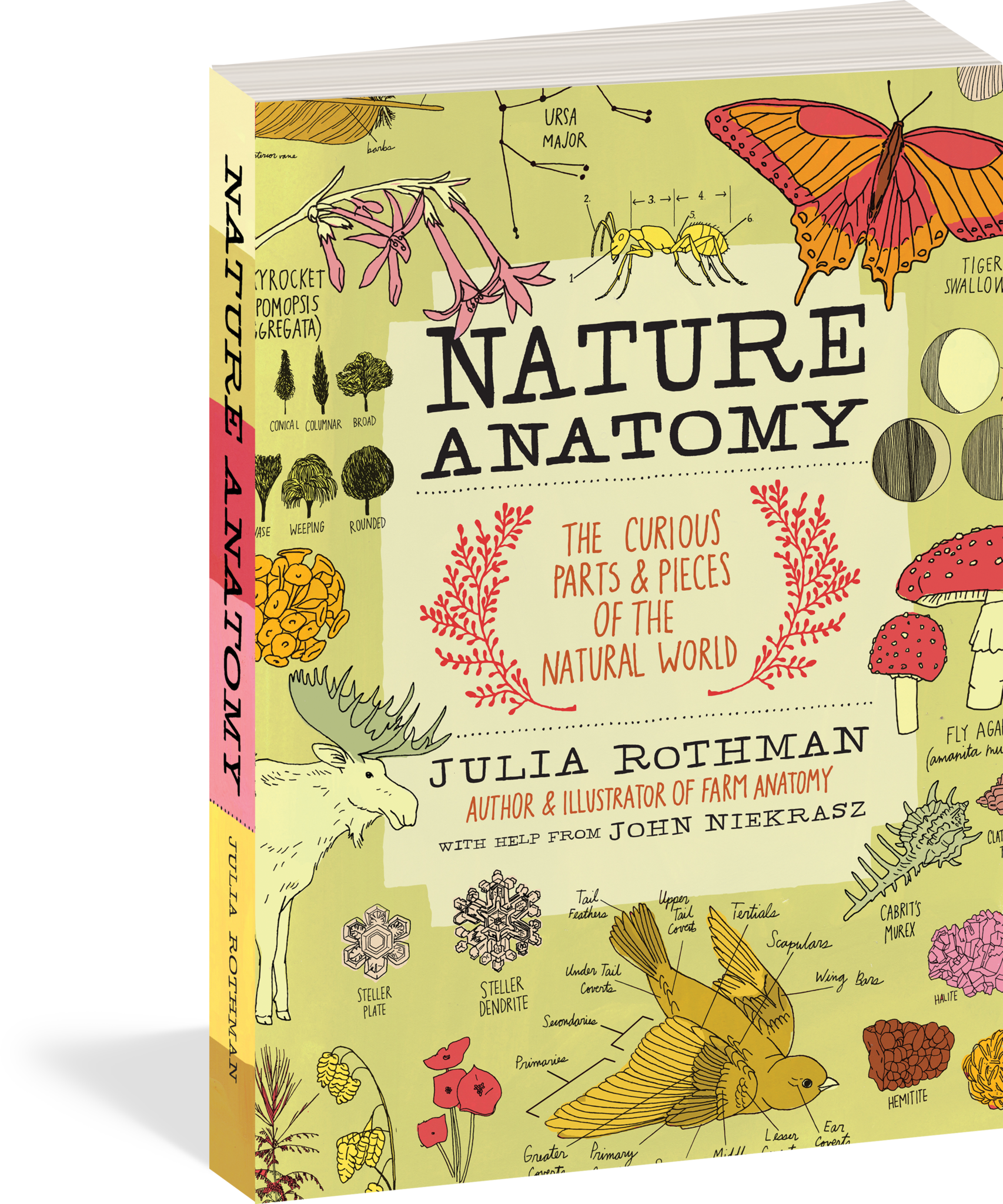 Ripped Paper Texture Png (1706x2048), Png Download