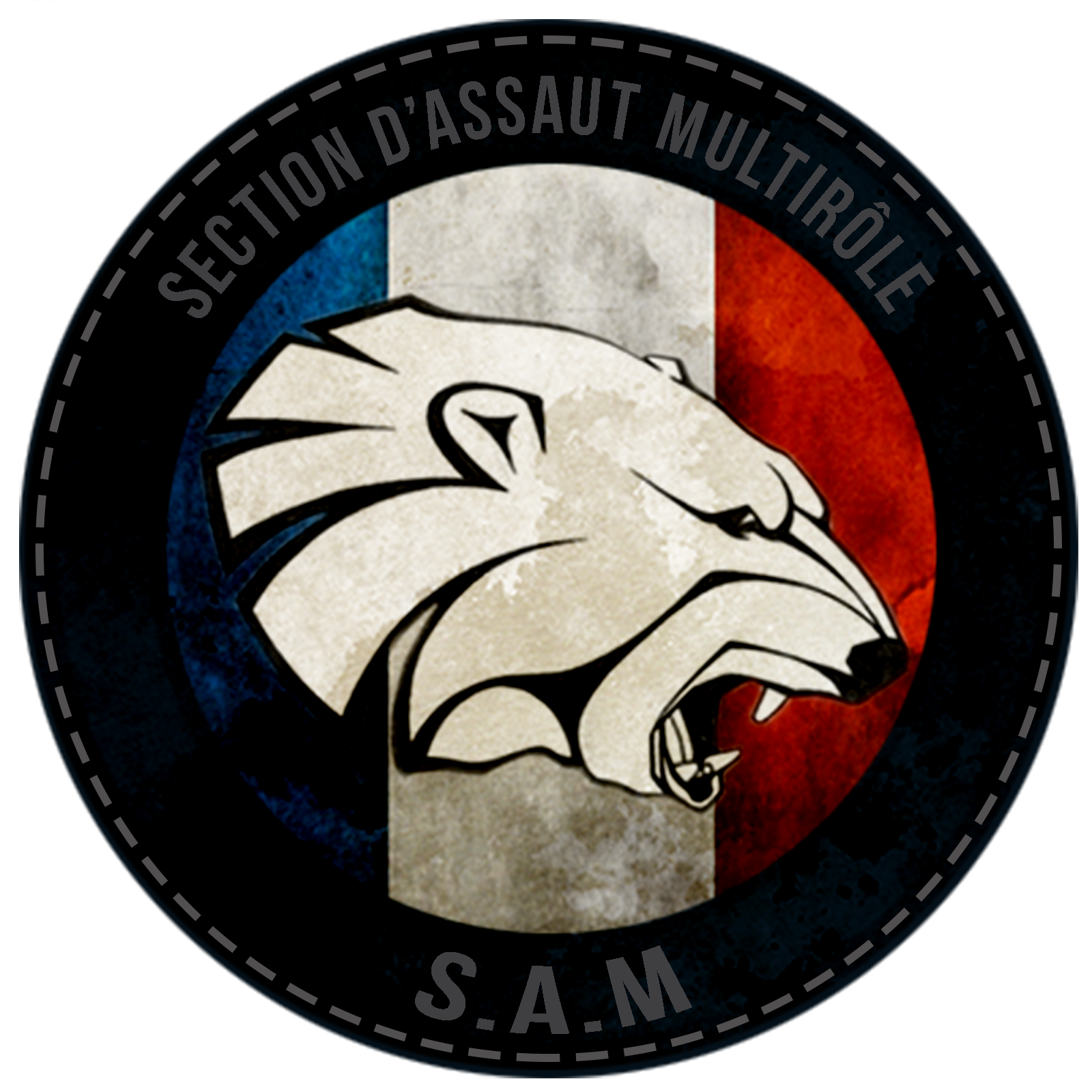 Emblème De La Sam (1600x1600), Png Download