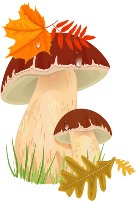 Free Png Fall Mushroomspicture Png Images Transparent (481x672), Png Download