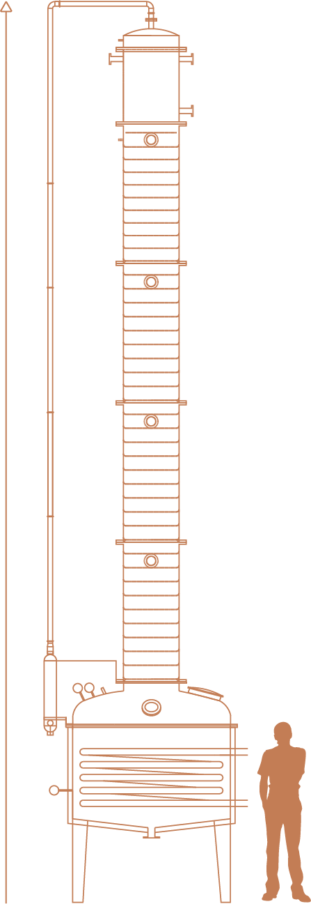 Marina Joyce Png (447x1297), Png Download