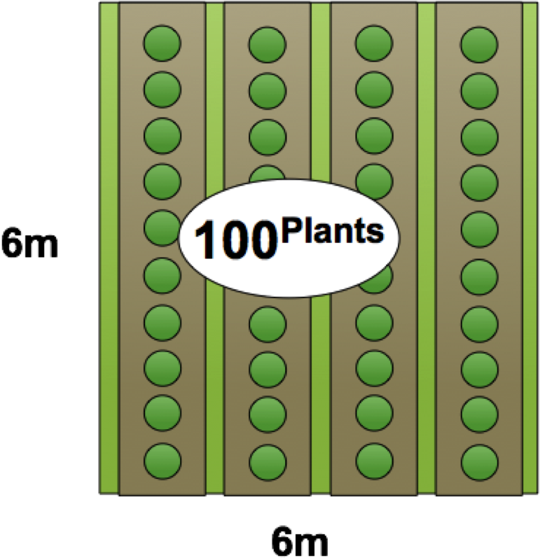 Rows (787x813), Png Download