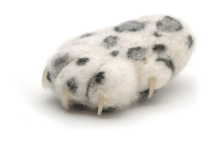 Snow Leopard Png (878x471), Png Download