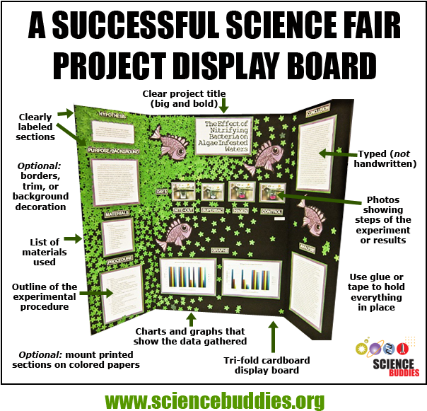 Mastering The Project Display Board (603x592), Png Download