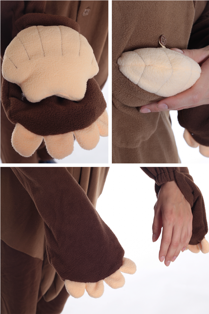 Sea Otter Png (884x1000), Png Download