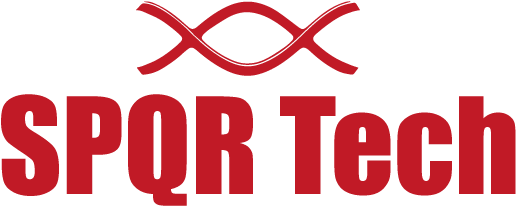 Spqr Png (800x600), Png Download