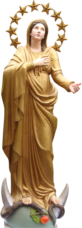 Oblate Madonna - " (654x800), Png Download