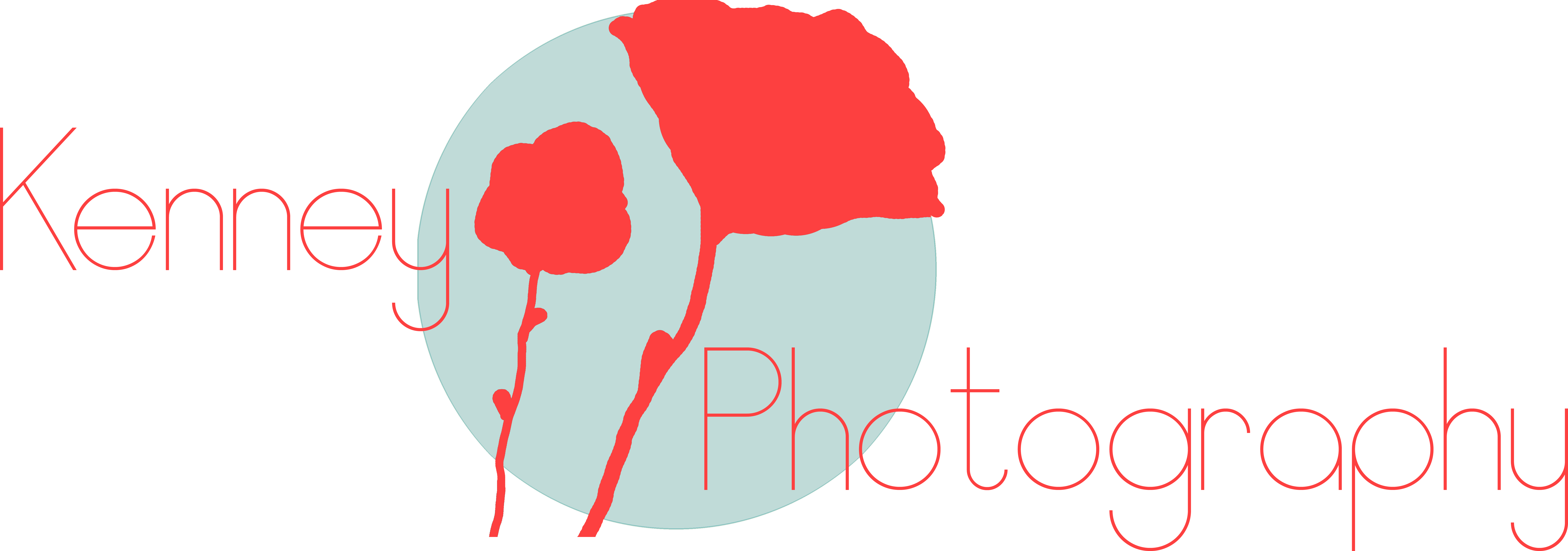 Kenney Photography (7694x2707), Png Download