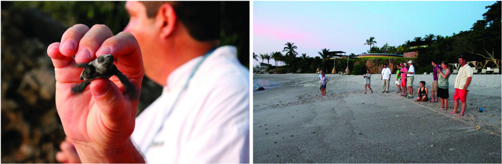 Four Seasons Punta Mita (1000x334), Png Download