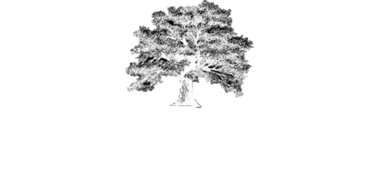 Site Logo (1545x675), Png Download