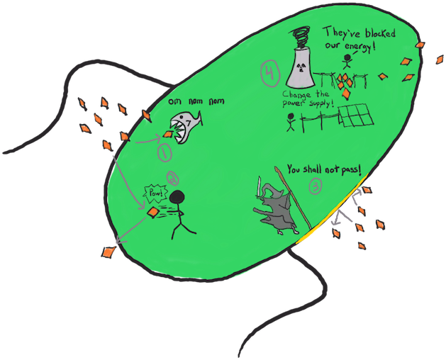 Bacterial Mutations To Fight Antibiotics (640x528), Png Download