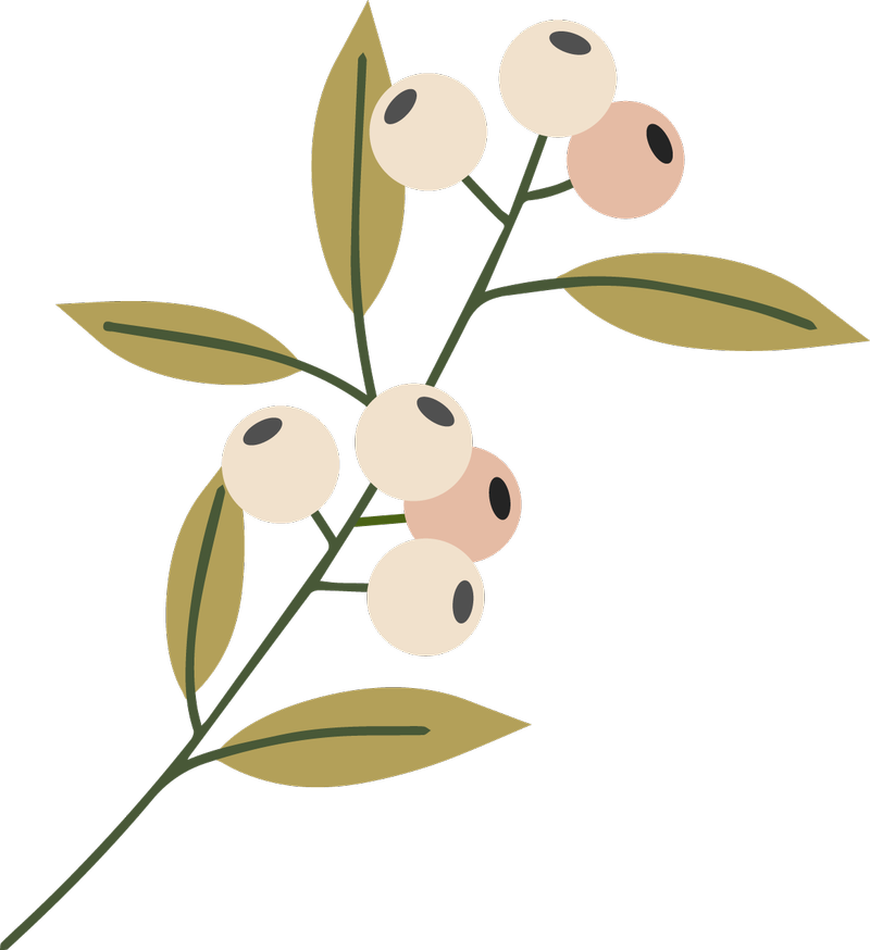 Image1 Image2 - " (800x874), Png Download