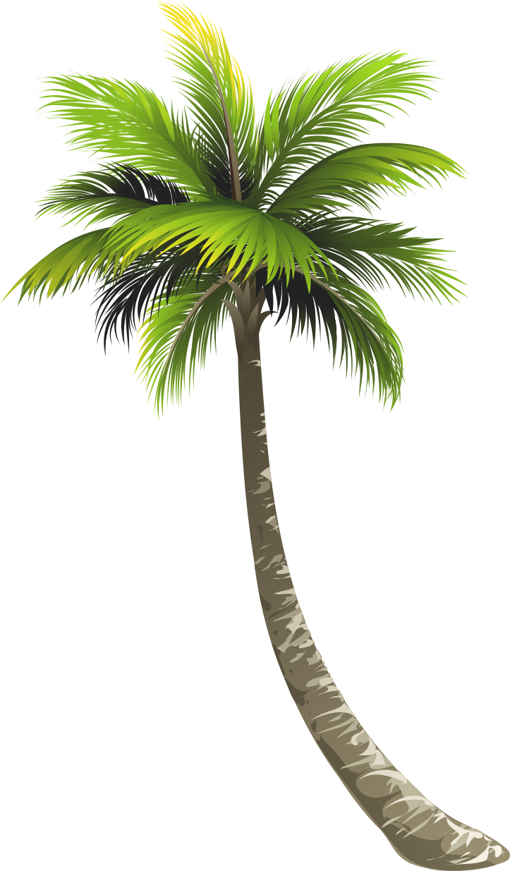 Royal Png (722x1234), Png Download