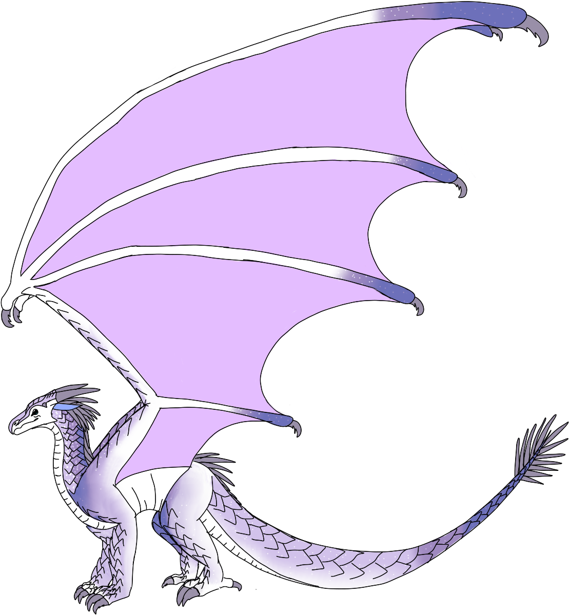 Speckles Png (1186x1366), Png Download