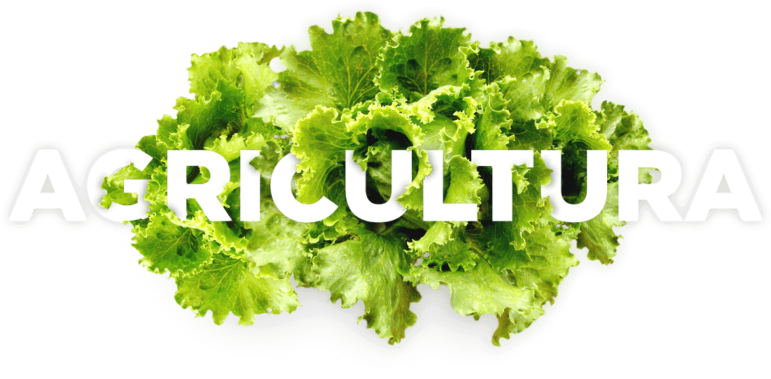 Agricultura (1140x600), Png Download