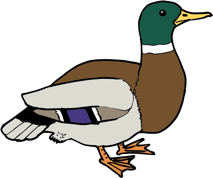 Free Clipart - Free Clip Art Duck (800x760), Png Download