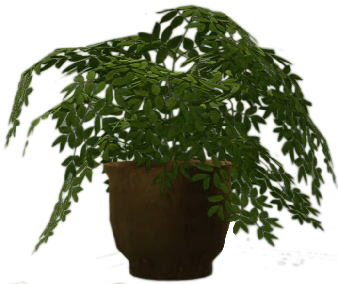 Pot Plant Png - Png Of Dead Plants (697x586), Png Download