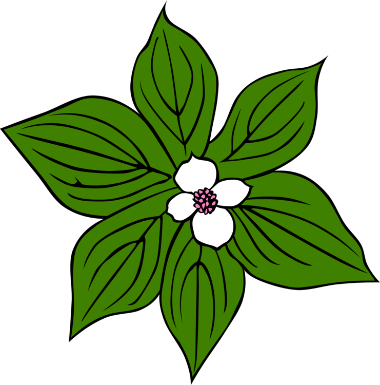 Green Plants Flower Flowers Cartoon Leaves Jungle - Rainforest Plants Clip Art (632x640), Png Download